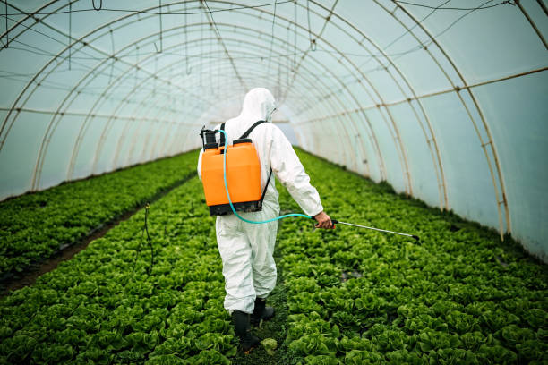 Best Best Pest Control Companies  in Lochbuie, CO