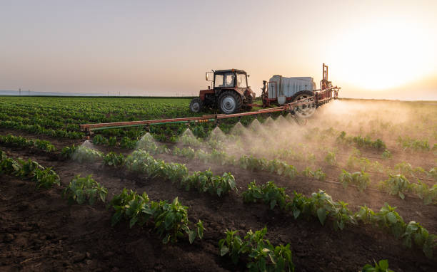 Best Pest Removal Services  in Lochbuie, CO