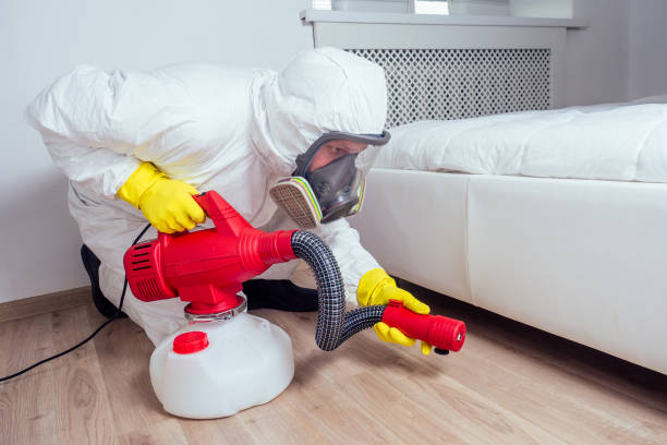Best Affordable Pest Control Services  in Lochbuie, CO