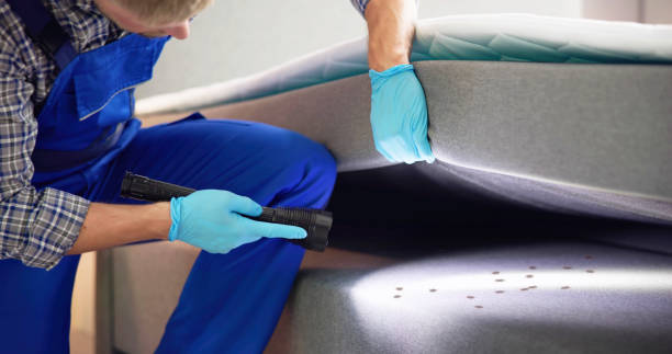 Best Residential Pest Control  in Lochbuie, CO