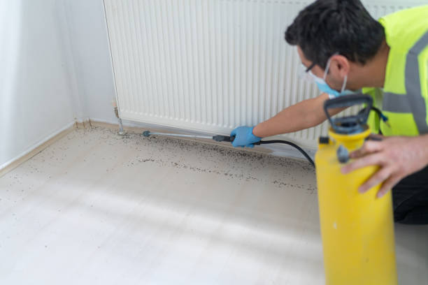 Best Pest Inspection Near Me  in Lochbuie, CO