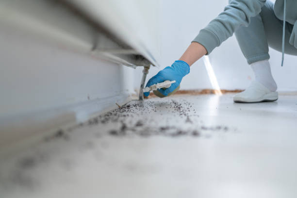 Best Best Pest Control Near Me  in Lochbuie, CO