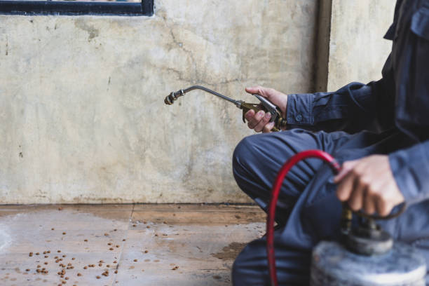 Best Affordable Pest Control Services  in Lochbuie, CO
